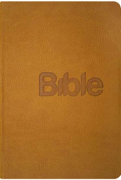 Bible21